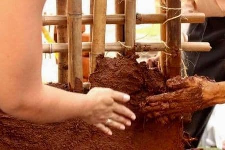 Casa de Taipa: Como Fazer e o que precisa?